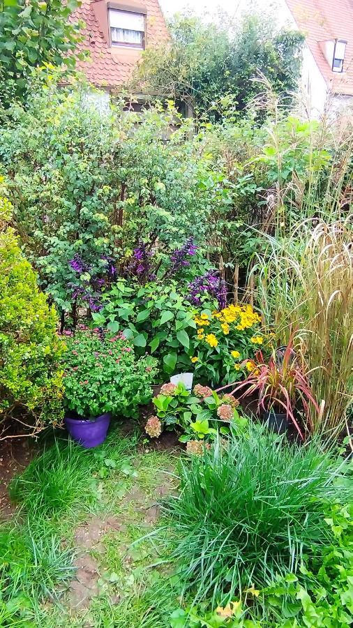Atelier&gardenhouse