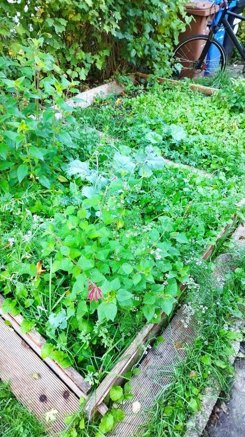Tente de luxe Atelier & Gardenhouse Glamping Munich